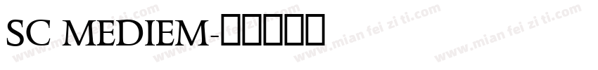 SC MEDIEM字体转换